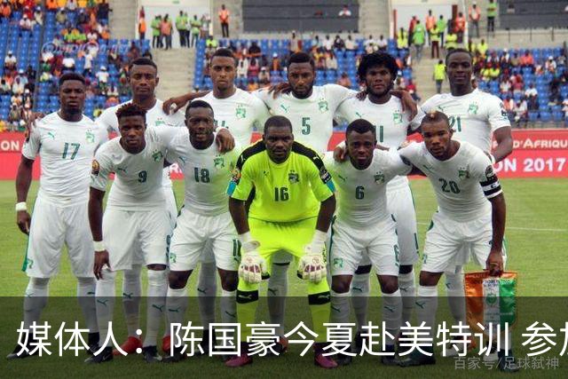 媒体人：陈国豪今夏赴美特训 参加由NBA主导的欧洲篮球夏联训练营