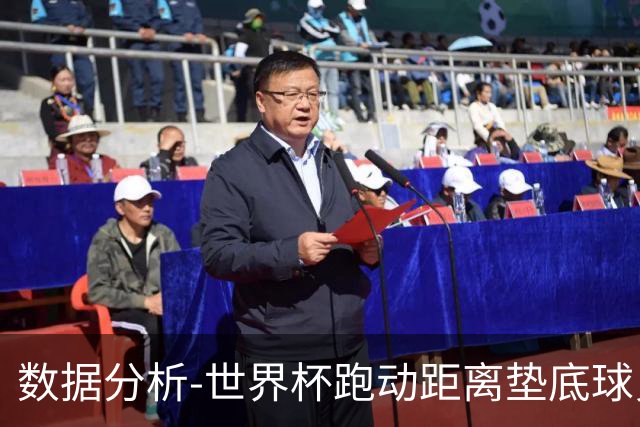 数据分析-世界杯跑动距离垫底球员竟是他 场均步行比例最高