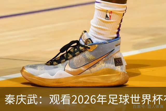秦庆武：观看2026年足球世界杯有感