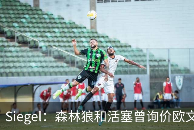 Siegel：森林狼和活塞曾询价欧文 但被独行侠告知不可交易